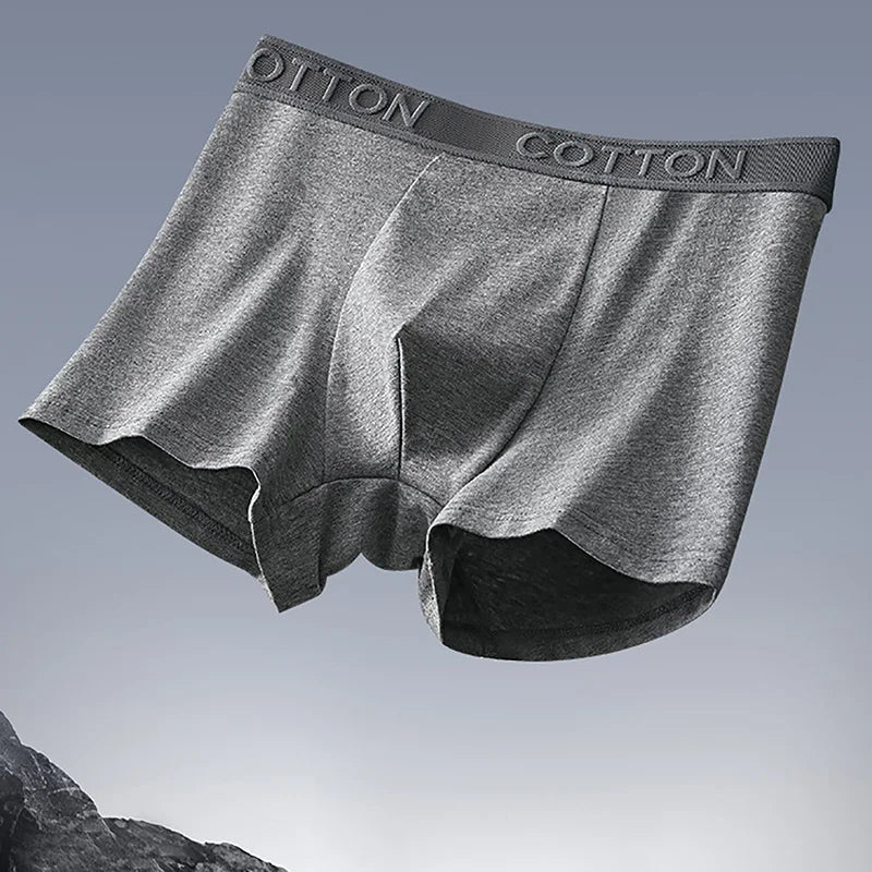 Paquete de 5 bóxers de algodón Core