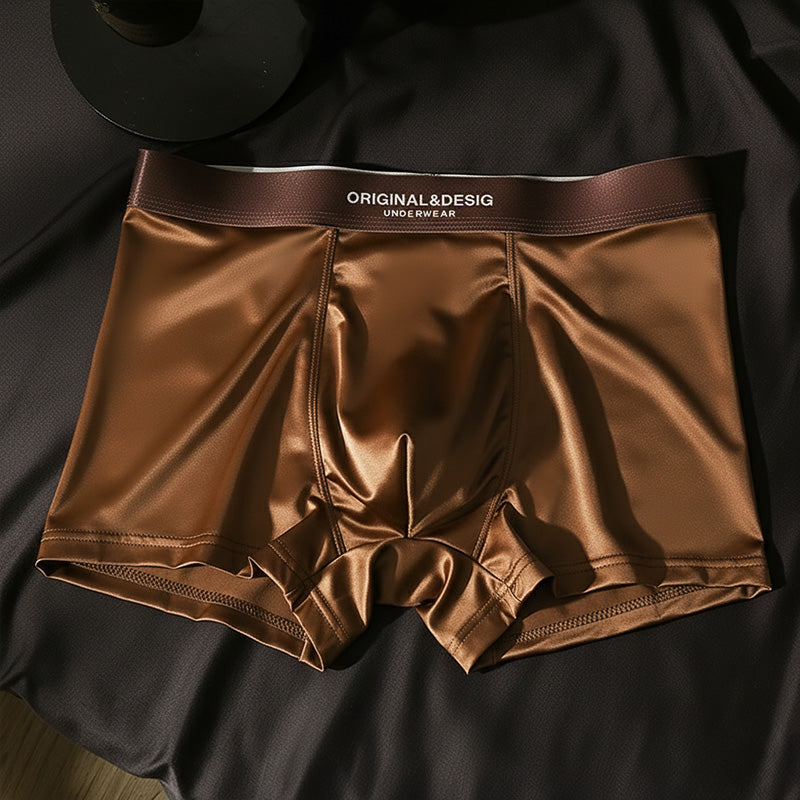 Conjunto de braguitas de seda «Platinum Ice»